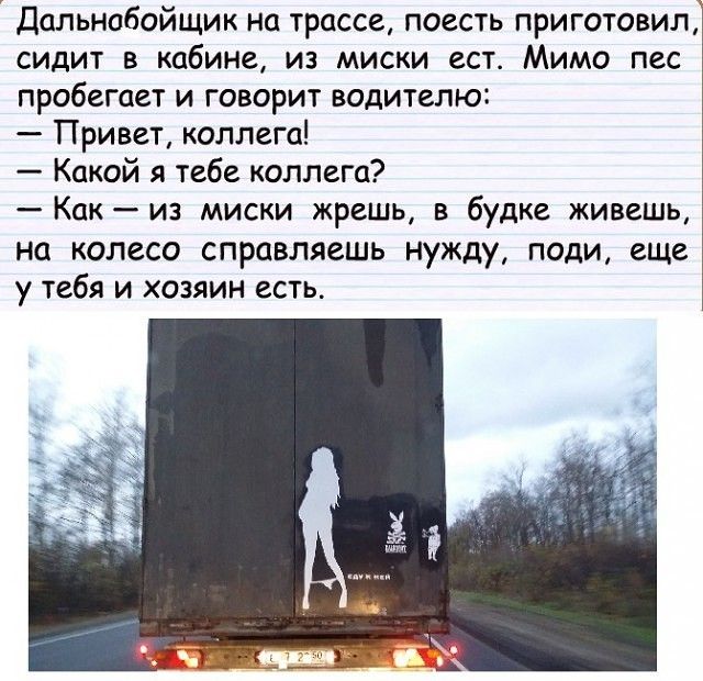 Дальнобойщик на трассе поесть приготовил сидит в кабине из миски ест Мимо пес пробегает и говорит водителю Привет коллега Какой я тебе коллега Как из миски жрешь в будке живешь на колесо справляешь нужду поди еще у тебя и хозяин есть