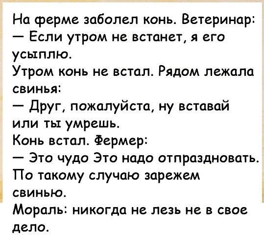 На ферме заболел конь Ветеринар Если утром не встанет я его усьтплю Утром конь не встал Рядом лежала свинья Друг пожалуйста ну вставай или ты умрешь Конь встал Фермер Это чудо Это надо отпраздновать По такому случаю зарежем свинью Мораль никогда не лезь не в свое дело