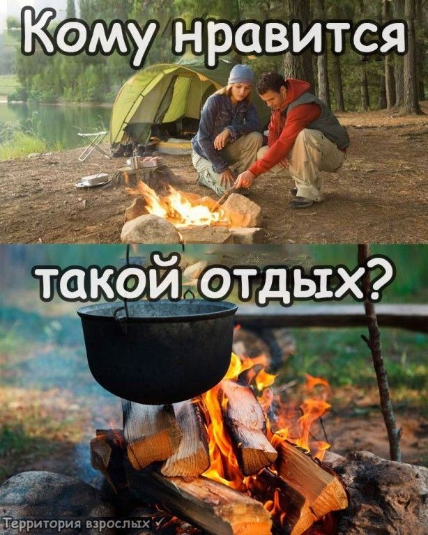 Ёрритория взрослых