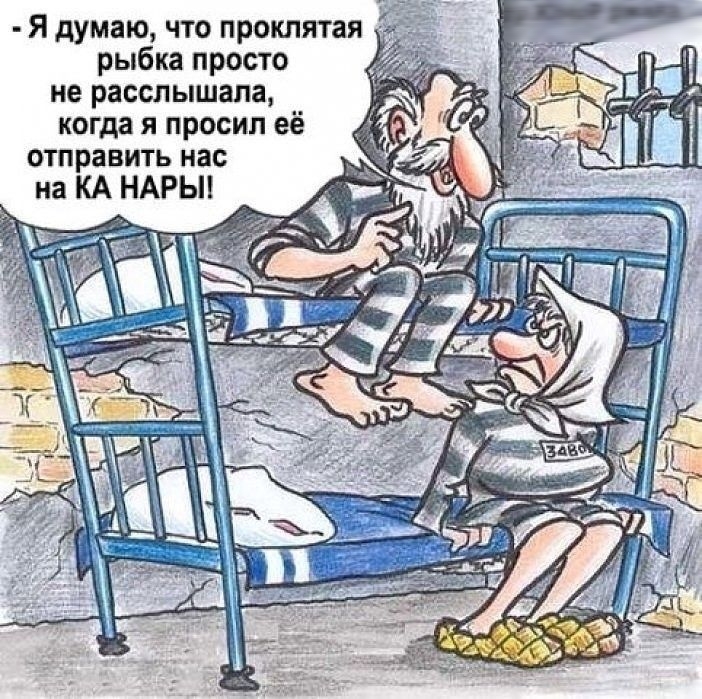 Я думаю что проклятая рыбка просто не расслышала когда я просил её отправить нас