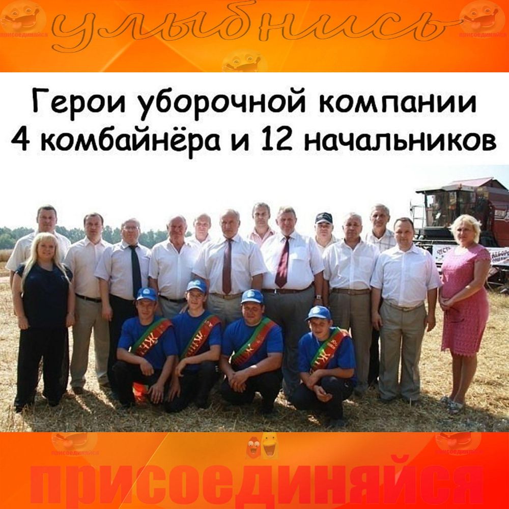 Герои уборочной компании 4 комбайнёра и 12 начальников