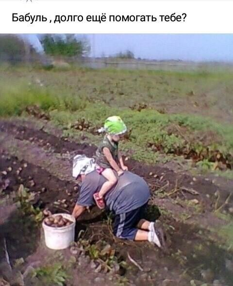 Бабуль долго ещё помогать тебе