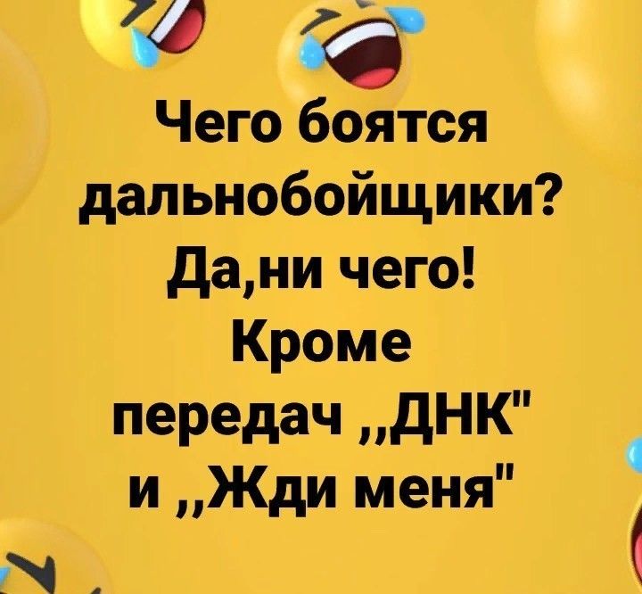 Ёп Чего боятся дальнобойщики дани чего Кроме передач дНК и Жди меня