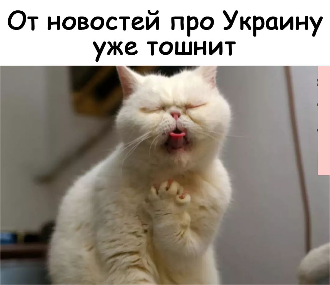 От новостей про Украину уже тошни
