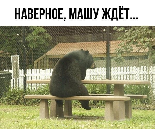 НдВЕРНОЕ МАШУ ЖДЁТ