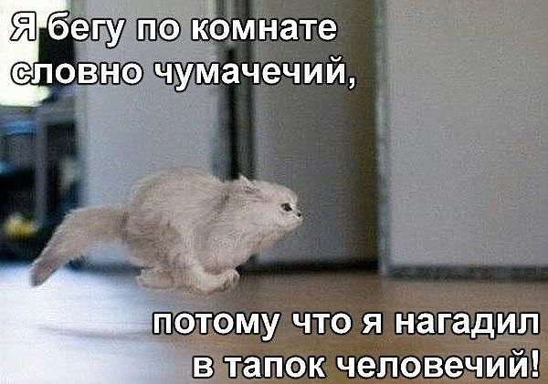 СЛОВНФ ЧУМЭЧЁЧИИ