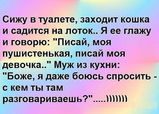 Сижу в туалете заходит кошка и садится на поток Я ее глажу и говорю Писай моя пушистенькая писай моя девочка Муж из кухни Боже я даже боюсь спросить скем ты там разговариваешь