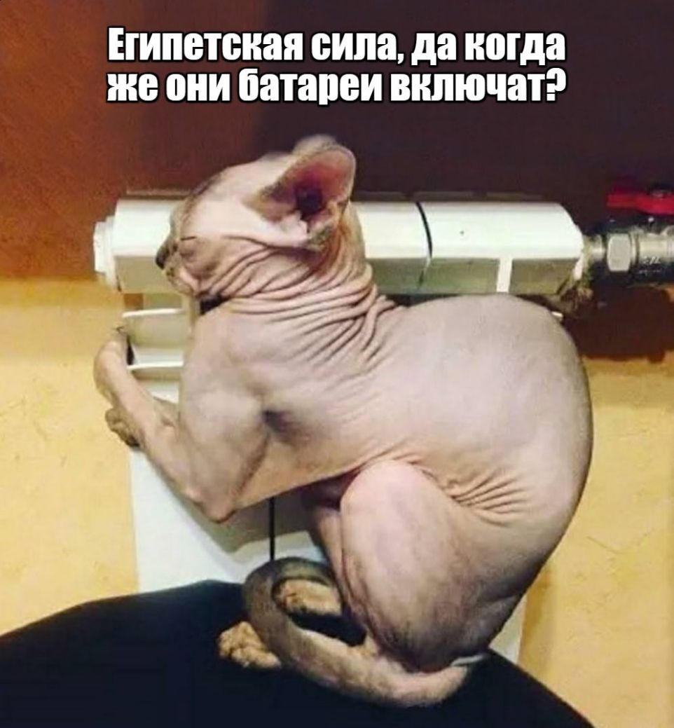 Египетская сила да когда ЖВ 0И батареи ВКЛЮЧЕН