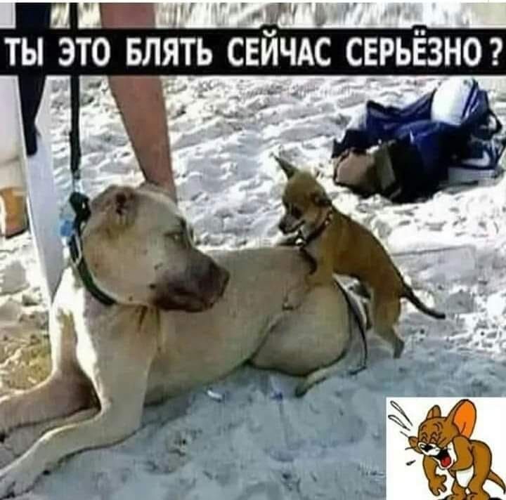ты это влять свйчдс СЕРЬЁЗНО __