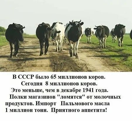 В СССР было 65 миллионов корон Сегодня 8 миллионов коров Это меньше чем вдекибре 1941 годя Полки мпгпшнон лпиятся от молочных продукты Импорт Ппльмового масла 1 миллион тонн Прпятпогп ппнепггв
