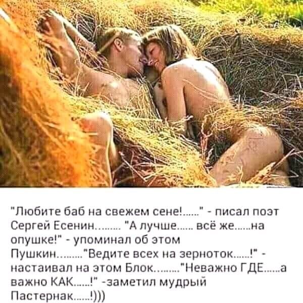 писал поэт всё же на Любите баб на свежем сене Сергей Есенин А лучше опушке упоминал об этом Пушкин Ведите всех на зерпоток настаивал на этом Бпокіеважпо ГДЕа заметип мудрый