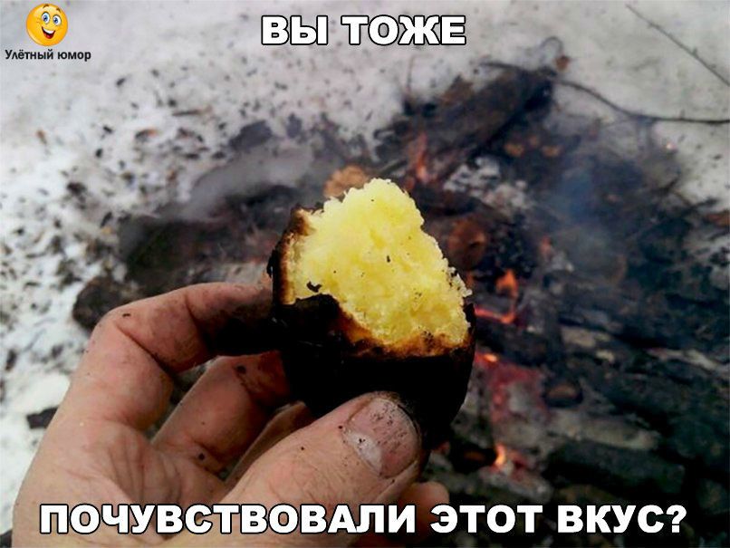 мвсдтдвтздпи этот вкус
