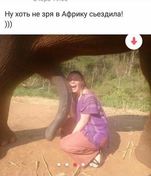 Ну хоть не зря в Африку сьездипа