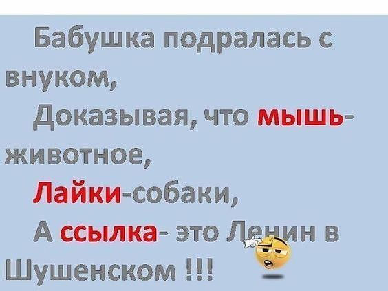 Бабушка подралась с внуком доказывая что мышь животное Лайки собаки А ссылка это н в Шушенском