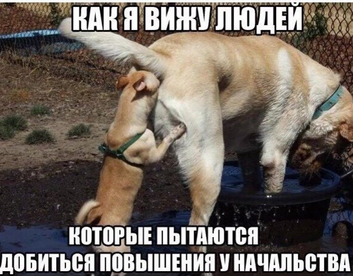 ШШРЫЕ ПЫПШПБП дивиться ППВЫШЕНИП НАЧАЛЬЩВА