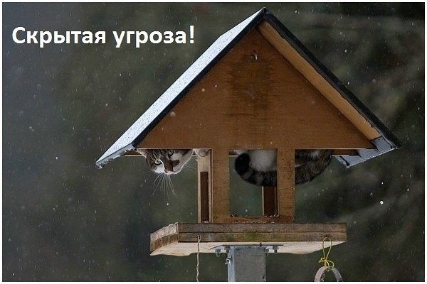 Скрытая угроза