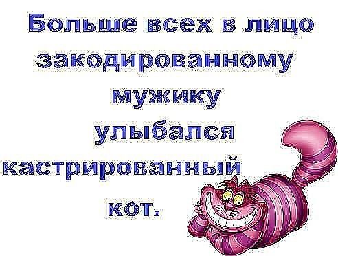 _Бопьше всех в ЛИЦО ЗЗКФДИРОВЗННОМУ УЖИКУ улыбался кастрирОВанны КОТ