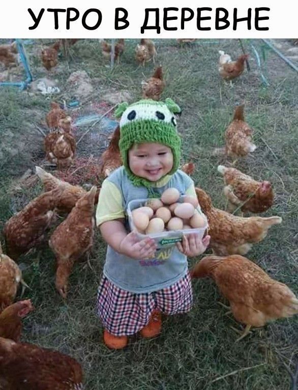 утро ВДЕРЕВНЕ