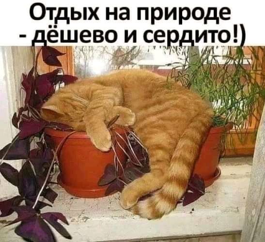 Отдых на природе ёшев9 исе ито _