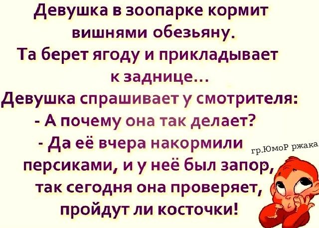 девушка в зоопарке кормит вишнями обезьяну Та берет ягоду и прикладывает к заднице девушка спрашивает у смотрителя А почему она так делает да её вчера накормили трюмыша персиками и у неё был запор так сегодня она проверяет пройдут ли косточки