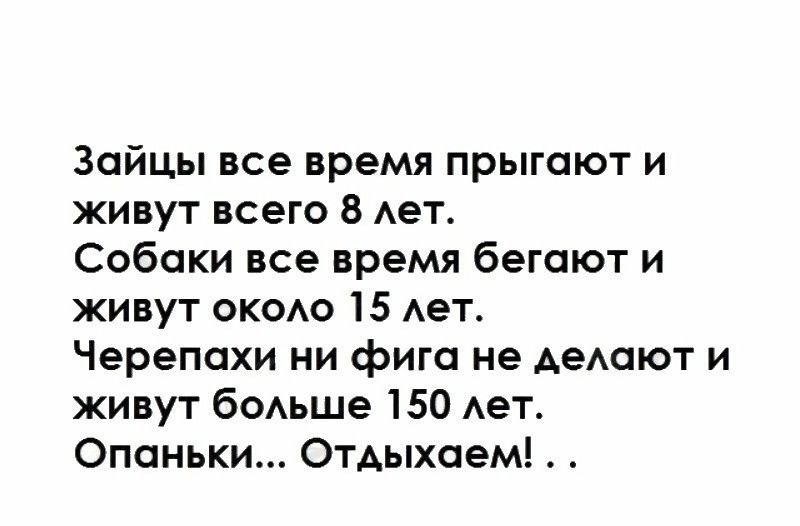 Зайцы все время прыгают и живут всего 8 Ает Собаки все время бегают и живут ОКОАО 15 Ает Черепахи ни фига не деАают и живут боьше 150 Ает Опаньки Отдыхаем