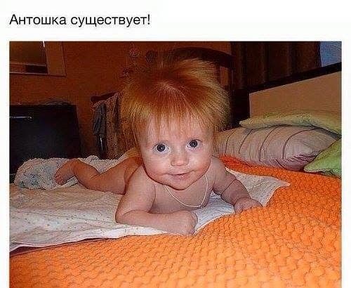 Антошка существует