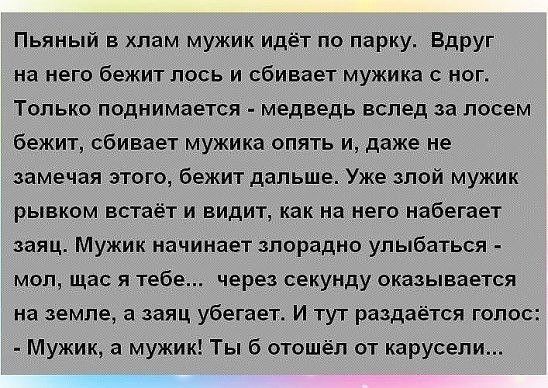 Пьяный в хлам мужик идёт по парку Вдруг на него бежит лось и сбивает мужика с ног Только поднимается медведь вслед за лосем бежит сбивает мужика опять и даже не замечая этого бежит дальше Уже злой мужик рывком встаёт и видит как на него набегает заяц Мужик начинает злорадно улыбаться мол щас я тебе через секунду оказывается на земле а заяц убегает И тут раздаётся голос Мужик а мужик Ты б отошёл от