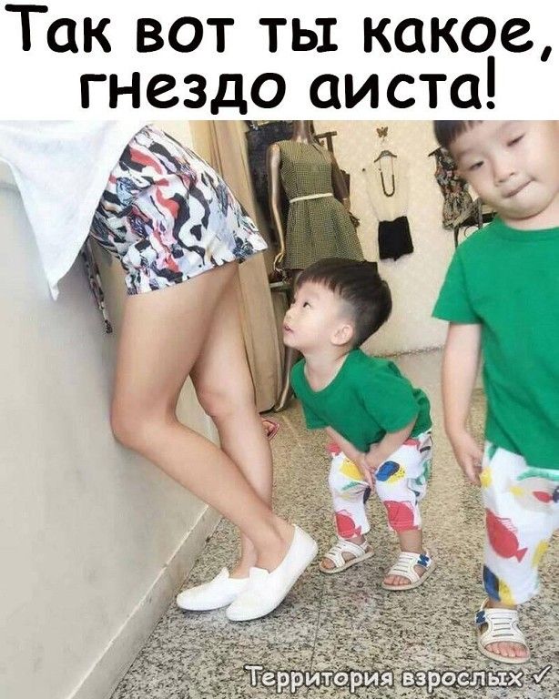 Так вот ть какое гнезд9 9и_стс_1