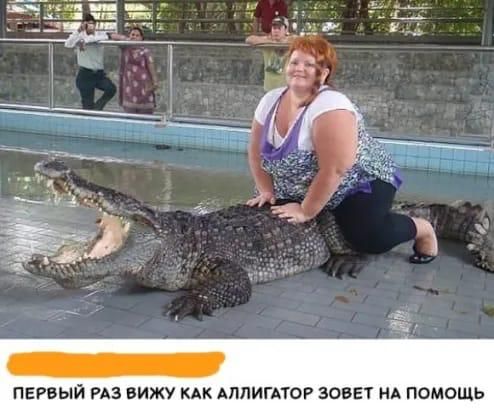ПЕРВЫЙ РАЗ ВИЖУ КАК АЛЛИГАТОР ЗОВЕТ НА ПОМОЩЬ