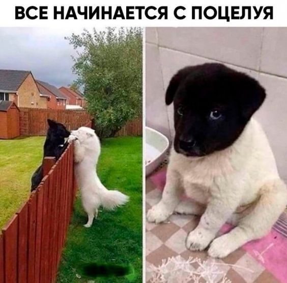 ВСЕ НАЧИНАЕТСЯ С ПОЦЕЛУЯ