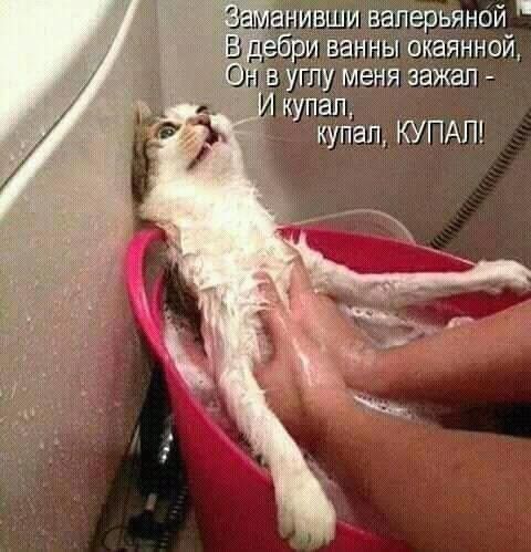 анны окаяиной Менязажап