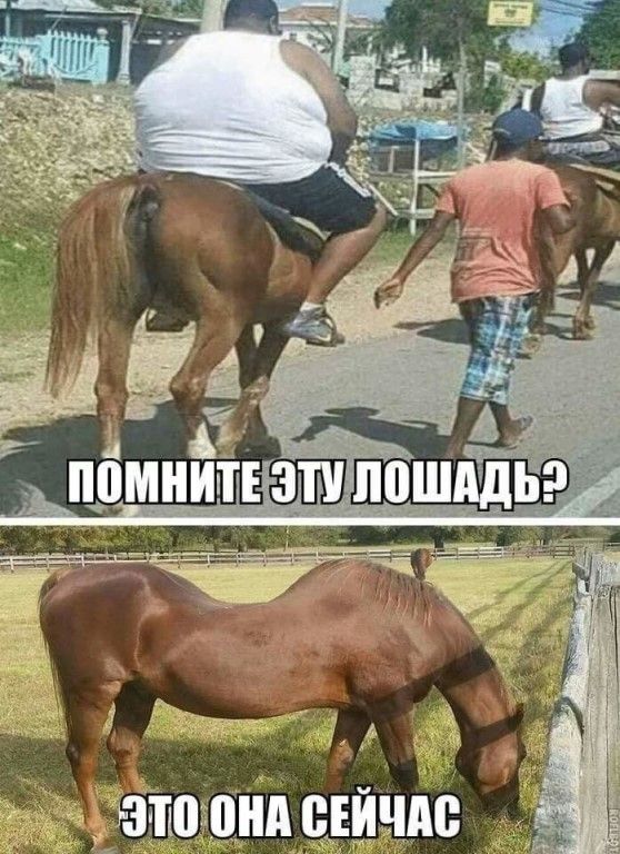 ВЕИНАЁ тощим