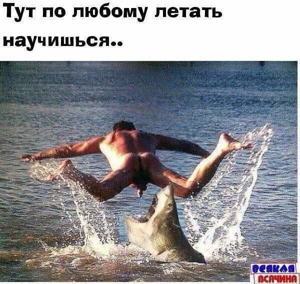 Тут по любому летать научишься