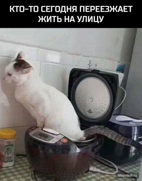 КТ ОТО СЕГОДНЯ ПЕРЕЕЗЖАЕТ ЖИТЬ НА УЛИЦУ _ ждшадщыг ш_ Ао___