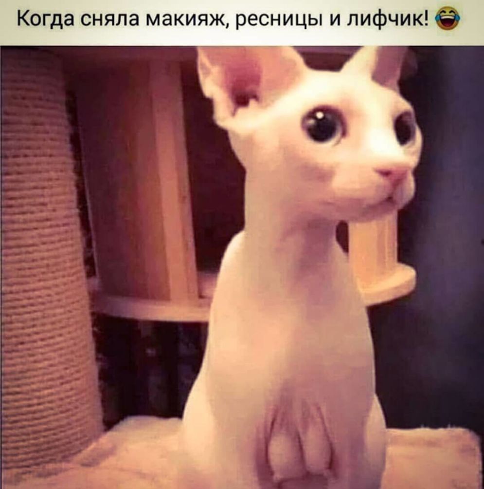Когда сняла макияж ресницы и лифчик 5