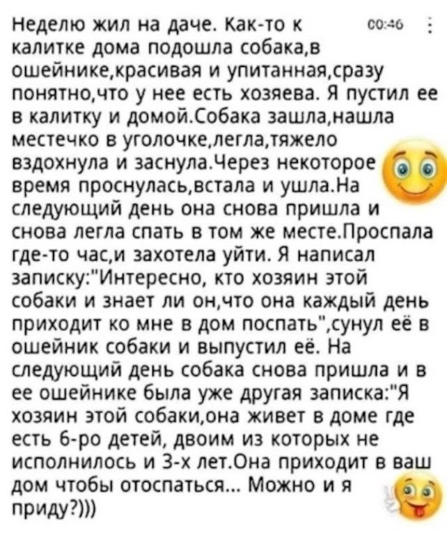 Неделю жил на даче Как то к сода калитке дома подошла собакав ошейникекрасивая и упитаннаясра3у понятночто у нее есть хозяева Я пустил ее в калитку и домойСобака зашланашла местечко в уголочкелеглатяжело вздохнула и заснуладерез некоторое время проснуласьестала и ушлаНа следующий день она снова пришла и снова легла спать в том же местеЛроспала где то часи захотела уйти Я написал запискуИнтересно к