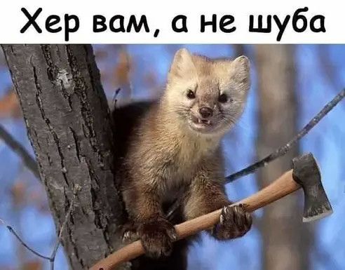 Хер вам а не шуба