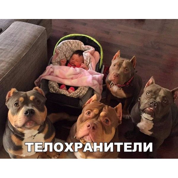 4 ЕЁЕЛОХРДН ИТЕП И