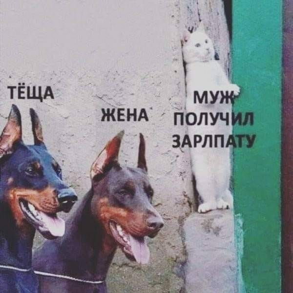 Ё _ ч г т ЁЩА ЖЕНА Получ зАрлп А