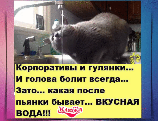 Корпоратйпіін и гулянки И голова болит всегда Зато какая после пьянки бывает ВКУснАя ВО