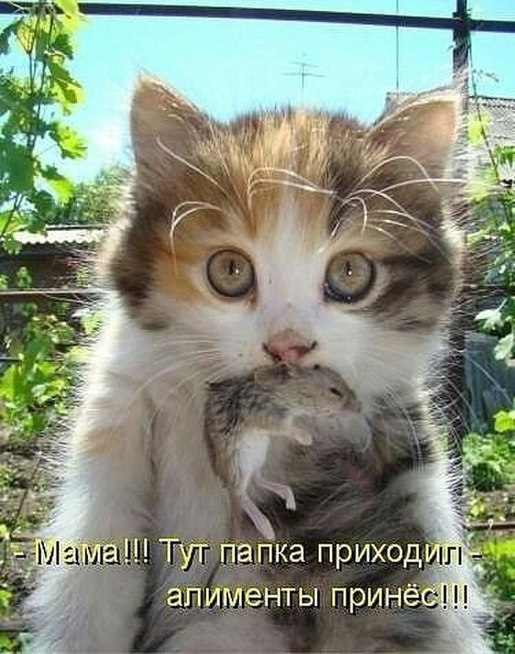 Тут папка приход а_П ИМЗ НТ Ы ПРИНёС ф