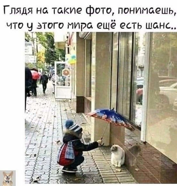 Глядя на такие фото понимаешь что у этого _пира ещё есть шанс
