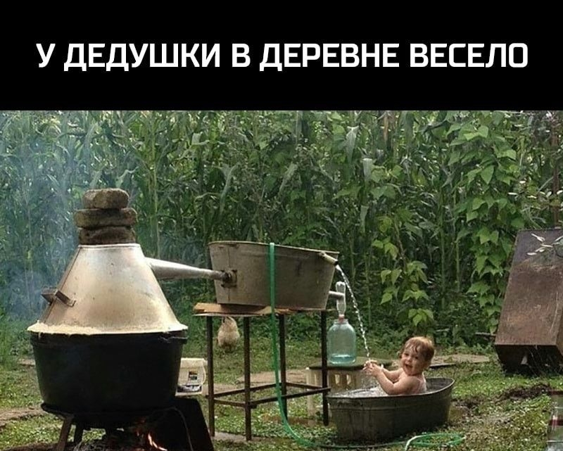 У ДЕДУШКИ В ДЕРЕВНЕ ВЕСЕЛО