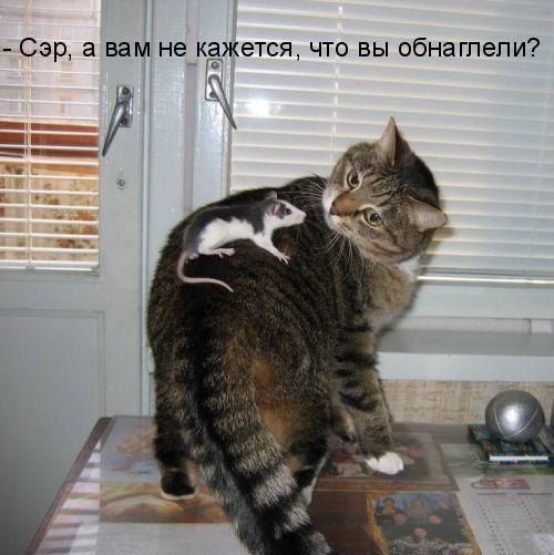 Сэр а вам не кажется что вы обнагпепи