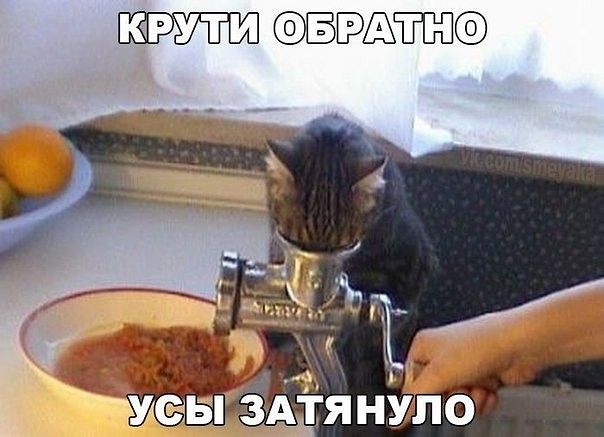 ШЁЁПЁЭ