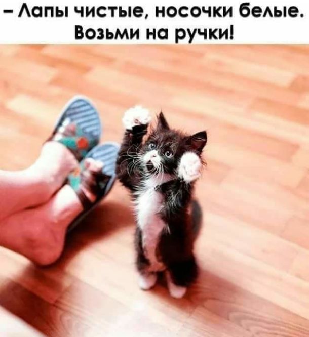 Аопы чистые носочки бемпе Возьми на ручки