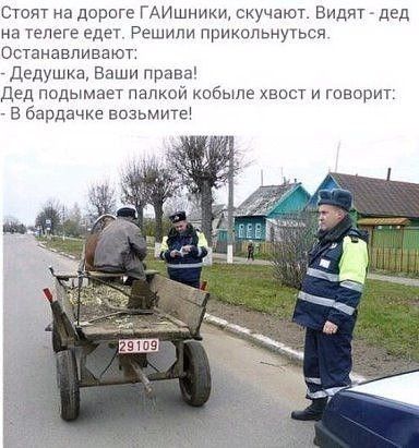 Стоят на дороге ГАИшники скучают Видят дед на телеге едет Решили прикольнуться Останаепиеают Двдушка Ваши Права Дед подымает папкой кобыле хвост и говорит в бардачке возьмите