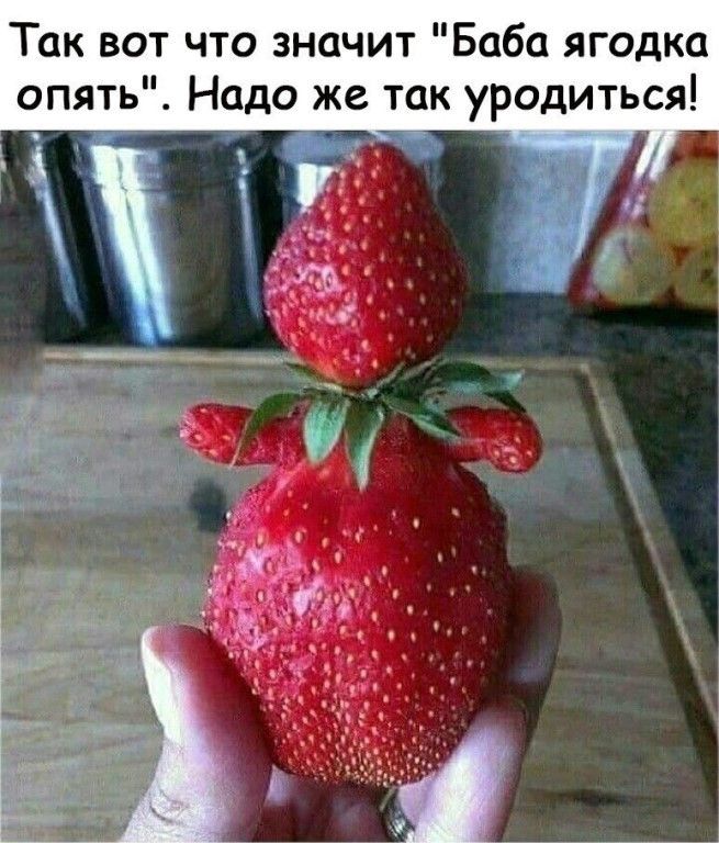 Так вот что значит Баба ягодка опять Надо же так уродиться