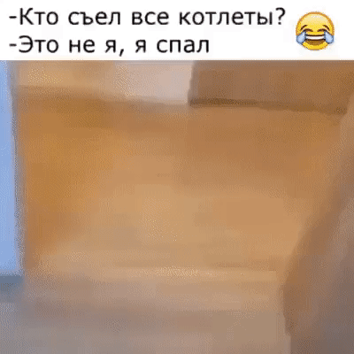 КТ0 съел все котлеты Это не я я спал