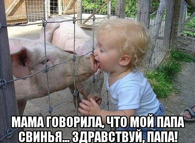 МАМА ТПВПРИЛА ЧТ0 МПИ ПАПА ВВИНБЯ ЗДРАВВТВУИ ПАПА